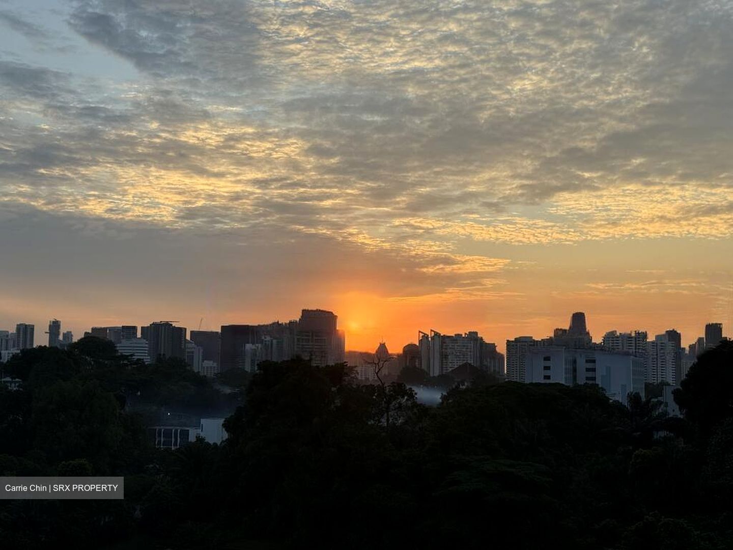 Tanglin Halt Road (D3), Condominium #502096641